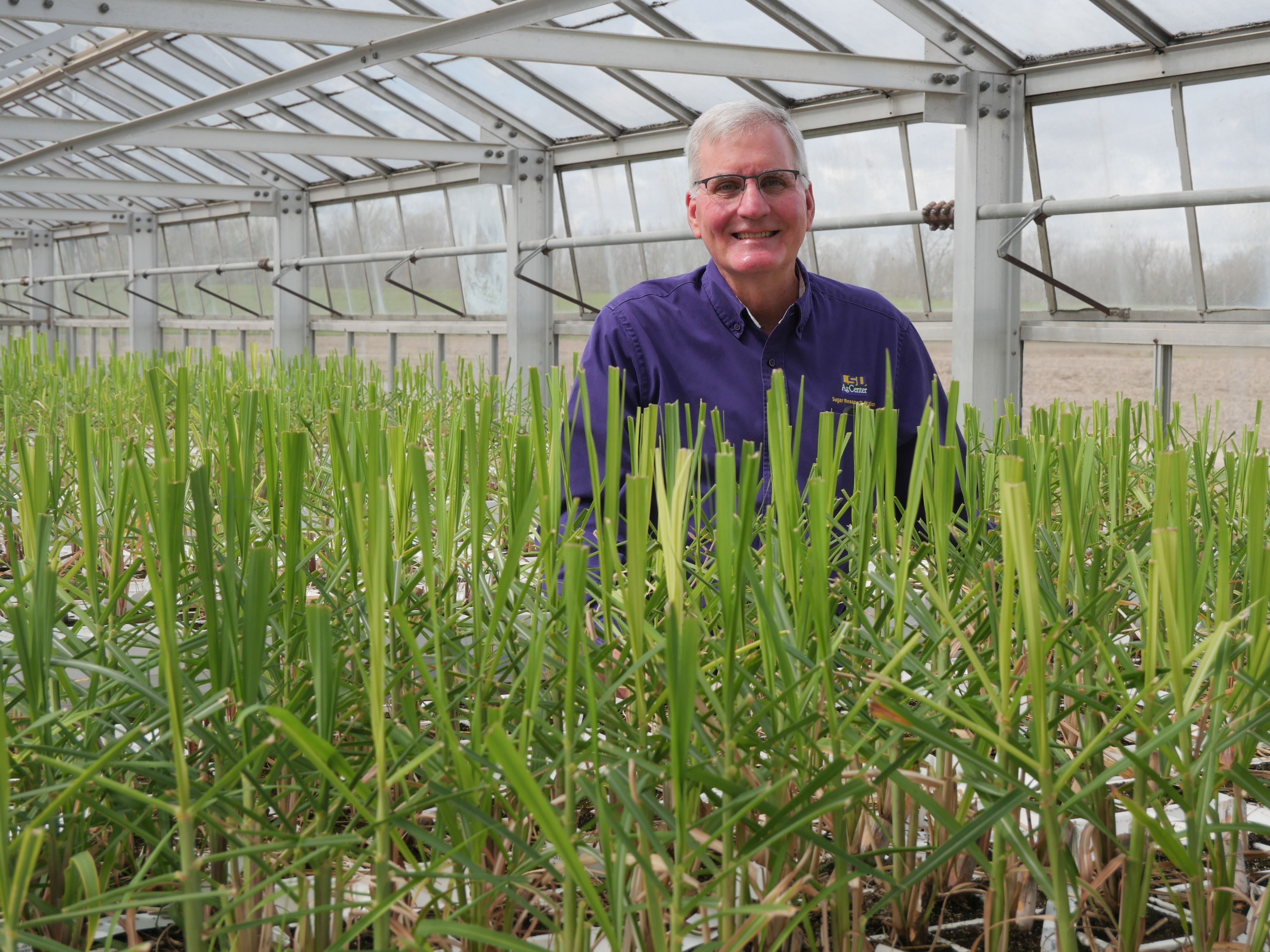 A lifetime in sugarcane: Kenneth Gravois honored with prestigious chair 